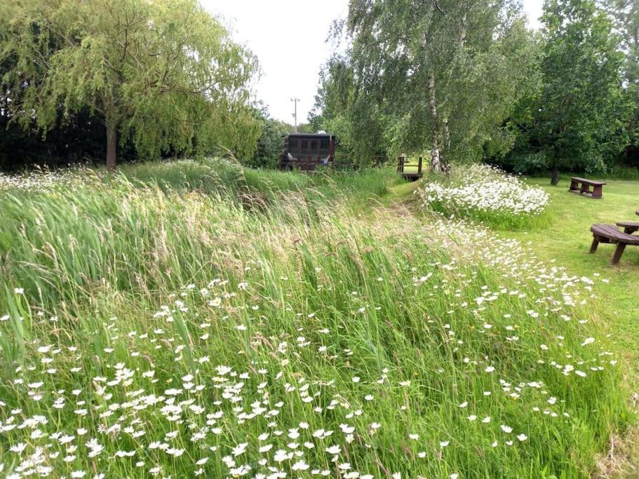 Rustic Retreat Guest * Littleport